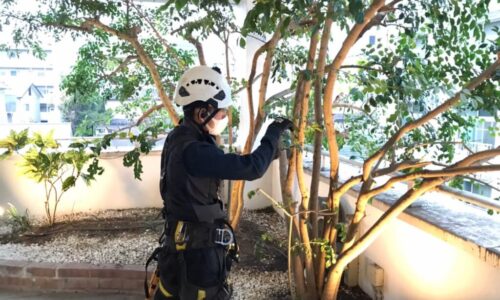 LINE_ALBUM_竜之介病院　中央区本庄_220118_2